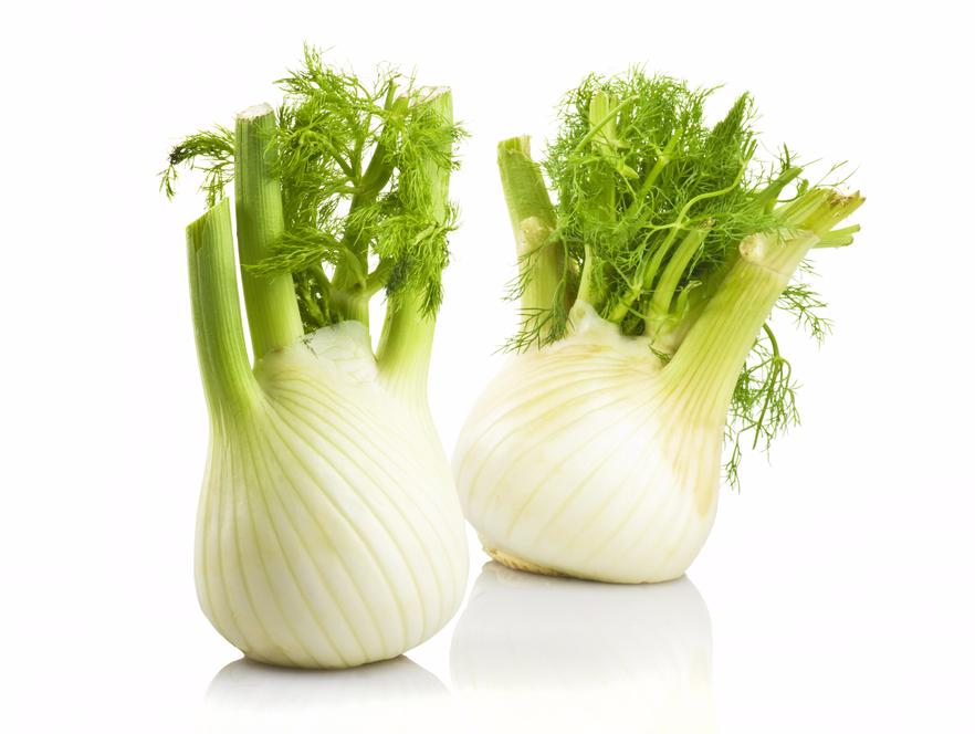 Pin by carmen laura on Soul Cake Herbs, Fennel recipes, Fennel