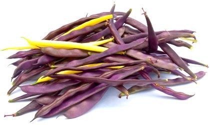 Լոբի պատիճավոր