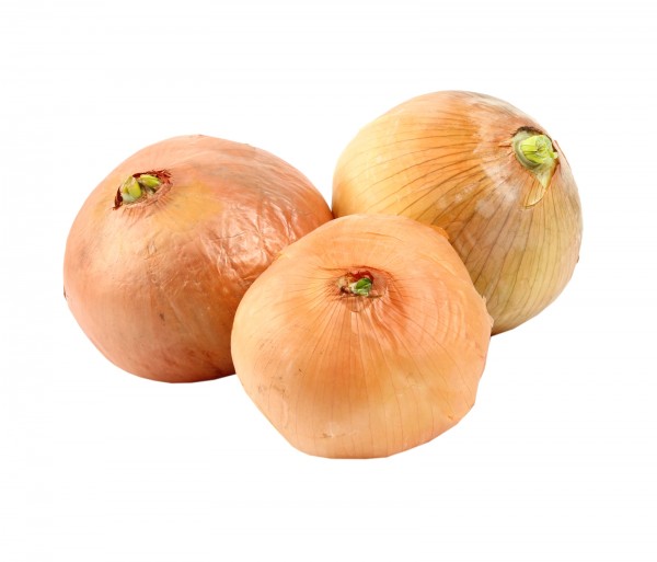 Սոխ ռուսական