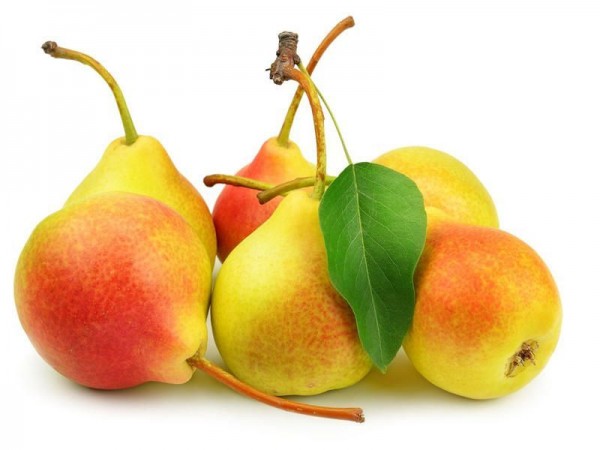 Տանձ «Դյուշես»
