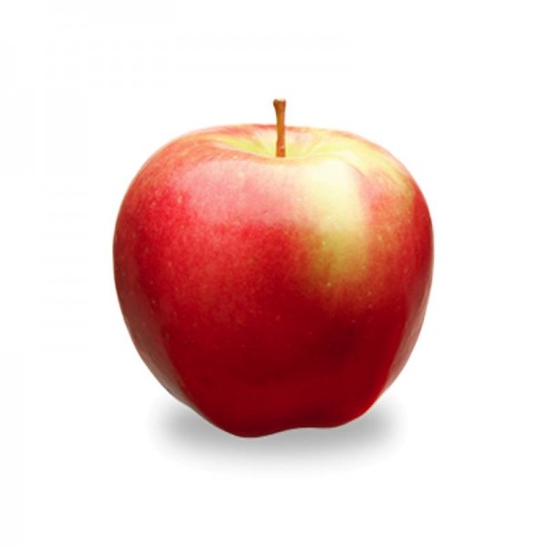 Apple &quot;Jonagold&quot;