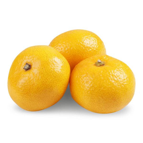 Tangerines georgian