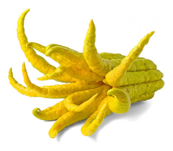 Բուդդայի ձեռքը