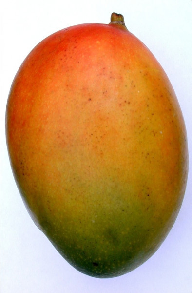 Մանգո կարմիր