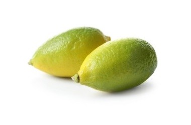 Լայմկվատ