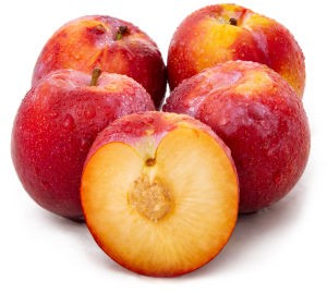 Plum